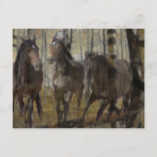 Everlasting Spirit Postcard