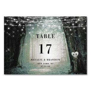 Evermore   Enchanted Fairy Forest   Moss Wedding Table Number