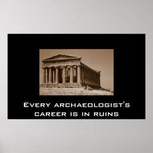 every archaeologist's career is in ruins poster