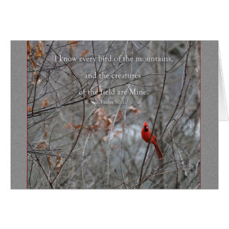 Every bird of the mountain Parakaleo note card