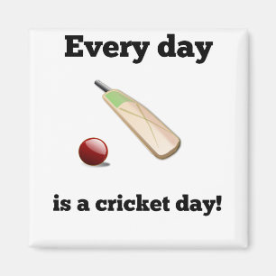 Every Day Is A Cricket Day Magnet