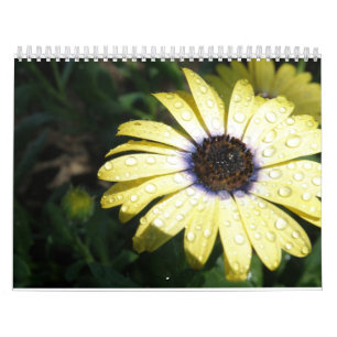 every day is a new flower calendar