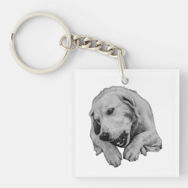 Every Day Is Chew Day Keychain (Front)