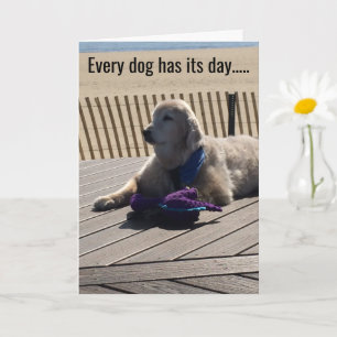 Every Dog Has Its Day, Everyday! - Card