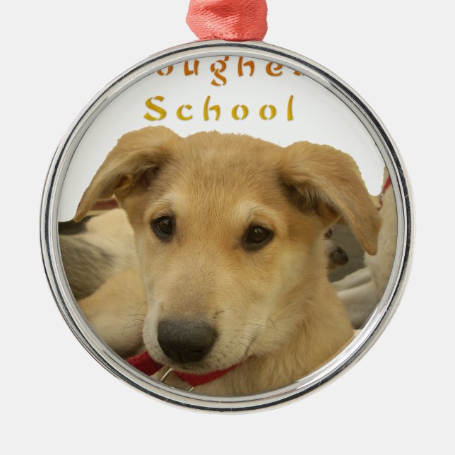Every Dog Has iTS  DAY  Hakuna Matata Happy days a Metal Ornament (Front)