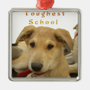 Every Dog Has iTS DAY Hakuna Matata Happy days a Metal Ornament