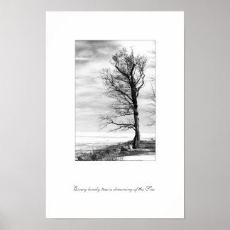 Every lonely tree is dreaming of the Sea Poster