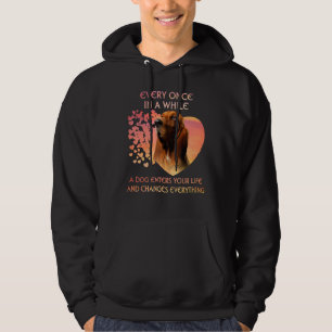 Every Once In A While A Basset Hound Enters You Li Hoodie