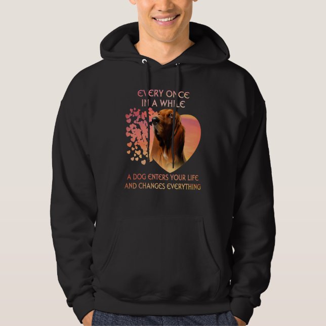 Every Once In A While A Basset Hound Enters You Li Hoodie (Front)