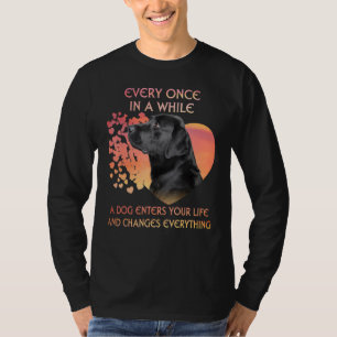 Every Once In A While A Black Labrador Enters You  T-Shirt