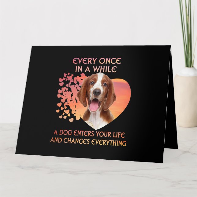 Every Once In A While A Welsh Springer Spaniel Ent Card (Front)