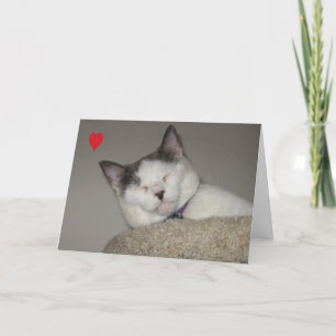 Every Time I Close My Eyes Valentine's Day Holiday Card