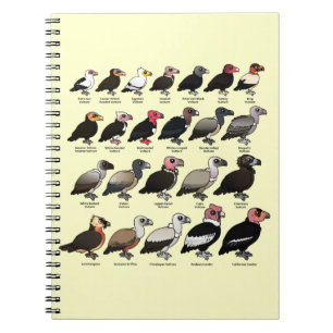 Every Vulture Notebook