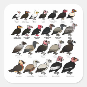 Every Vulture Square Sticker