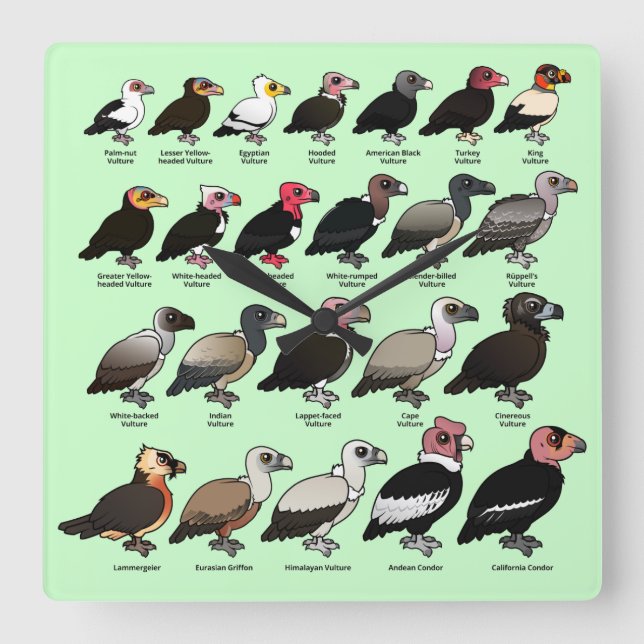Every Vulture Square Wall Clock (Front)