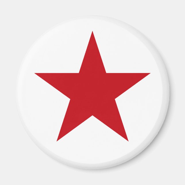 Everybody loves Stars Magnet (Front)