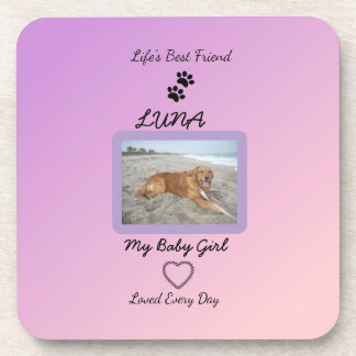 Everyday Love Pawprint Pet Coaster