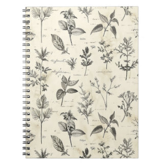 Everyday Writer’s Journal