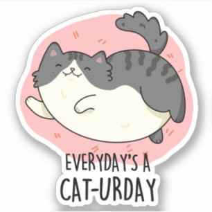 Everyday's A Cat-urday Funny Cat Pun 