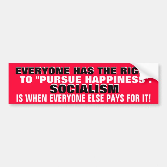 EVERYONE HAS THE RIGHT TO PURSUE HAPPINESS. BUMPER STICKER (Front)