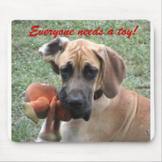 Everyone needs a toy! mouse pad