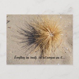 Everything has beauty, but not everyo... postcard