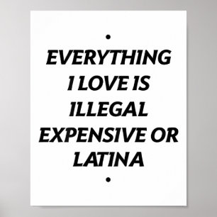 Everything I Love Is Illegal Expensive Or Latina ( Poster