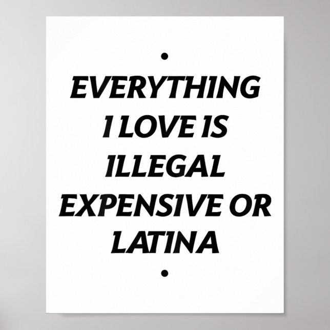 Everything I Love Is Illegal Expensive Or Latina ( Poster (Front)