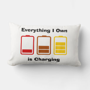 Everything I Own is Charging Lumbar Pillow