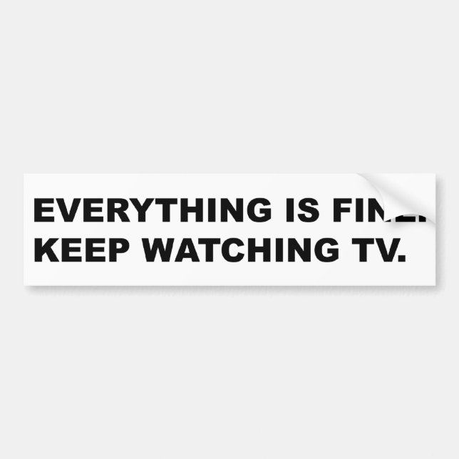 Everything Is Fine Bumper Sticker (Front)
