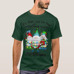 Everything Is Fine Special Education SPED Teacher  T-Shirt