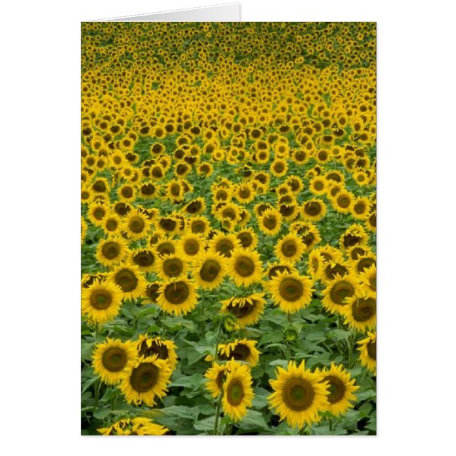 'Everything is going to be all right' card (Front)