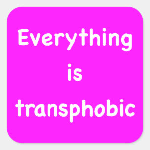 Everything is transphobic square sticker