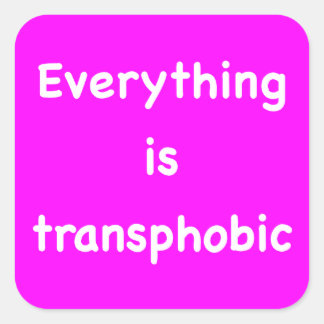 Everything is transphobic square sticker