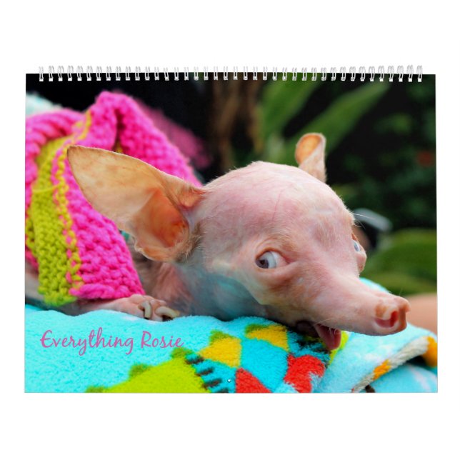 Everything Rosie Calendar (Cover)