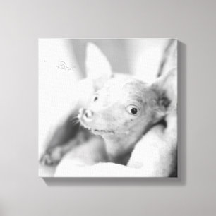 Everything Rosie Photo Canvas