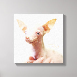 Everything Rosie Photo Canvas Print