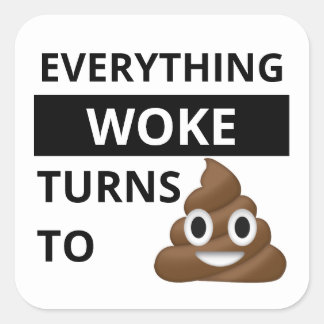 EVERYTHING WOKE TURNS TO S#!T (poop emoji) Square Sticker