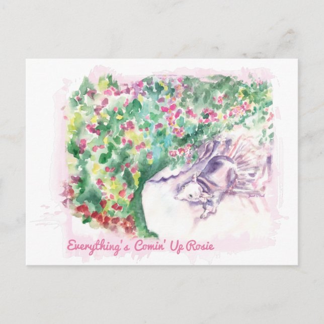 Everything's Comin' Up Rosie Postcard (Front)