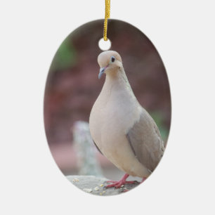Everything's Coo' Ceramic Ornament
