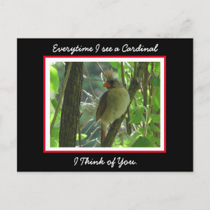 Everytime I see a Cardinal I think of You Postcard