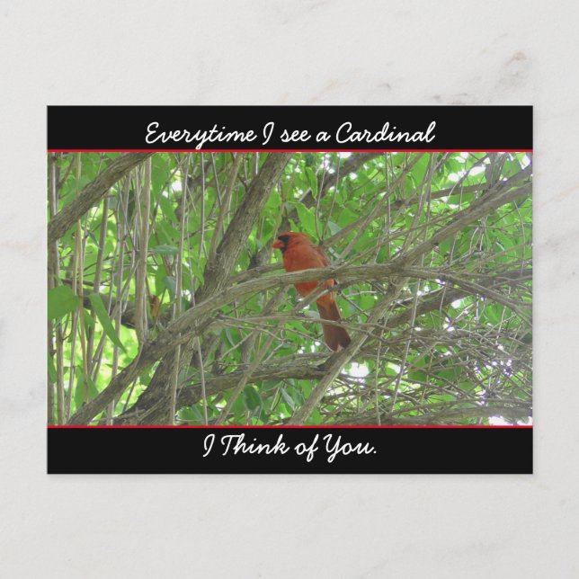 Everytime I see a Cardinal I think of You Postcard (Front)