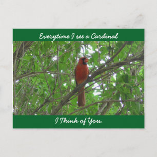 Everytime I see a Cardinal I think of You Postcard