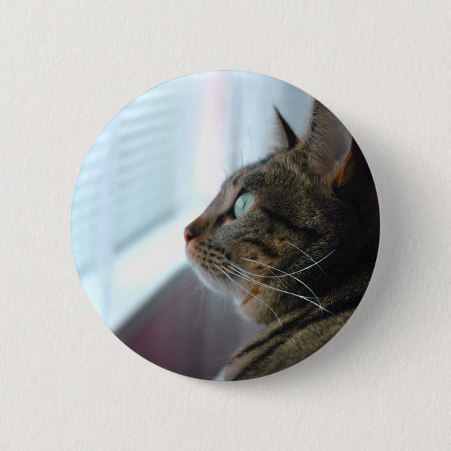 Evey the Kitty contemplates outside 2 Inch Round Button (Front)