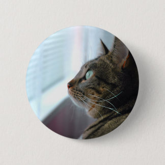 Evey the Kitty contemplates outside 2 Inch Round Button