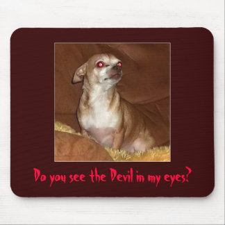 Evil Chihuahua Mousepad
