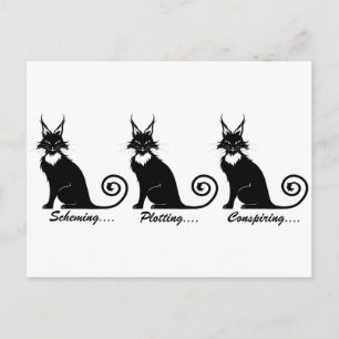 Evil Plotting Cat Trio Postcard