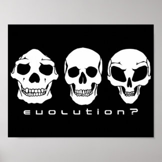 Évolution ? Affiche du crâne humain à alien