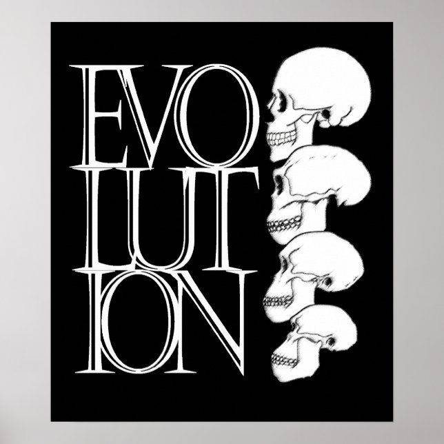 Evolution (black, with white border) poster (Front)
