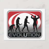 Evolution BodyBuilder
